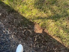 -普芬比利蒸汽火车