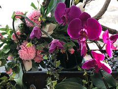 -广州绿地中央广场