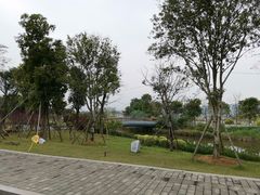 -琅岐红光湖公园