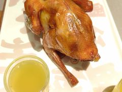 -大鸽饭(体育西路店)