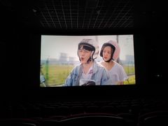 -万达影城(IMAX激光铁西万达广场店)