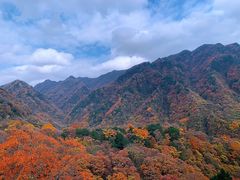-光雾山旅游景区