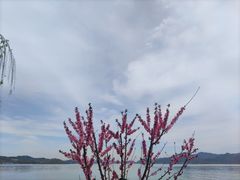 -东钱湖旅游度假区