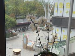 -一石三鸟烧鸟•刺身•定食套餐(南桥美谷店)