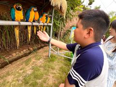 -西霞口神雕山野生动物世界