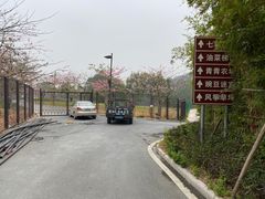 -清远熹乐谷温泉度假酒店
