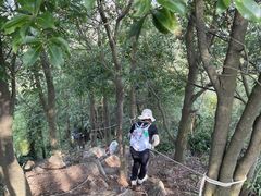 -羚羊峡古栈道森林公园