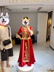 -GRACE KELLY婚纱与礼服(北京店)