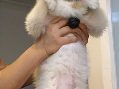 -零几体验diy皮具工作室(振业城店)
