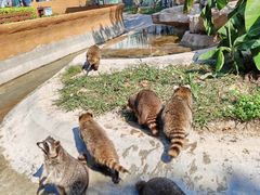 -泉州海丝野生动物世界