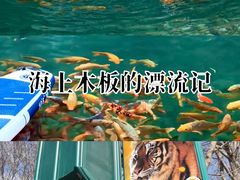 -青鱼湾水上乐园