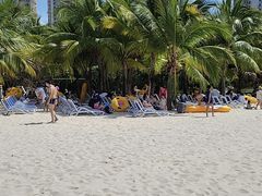 -亚马逊丛林水乐园