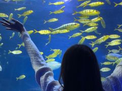 -太平洋海底世界