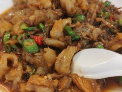 -曾牛肉