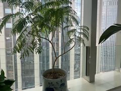 -天津国贸购物中心