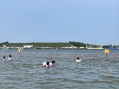 -呼兰河口湿地公园