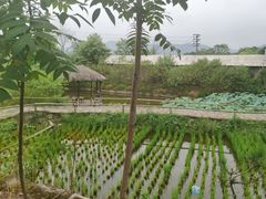 -驿舍·民國老营房院子私房菜(科学会堂店)