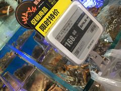 水产区-盒马鲜生(悠方店)