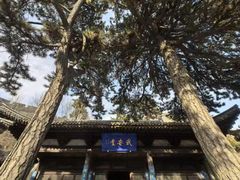 -雁门关景区