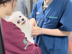 -伟伟宠物医院·CT影像中心·瑞派犬猫综合性门诊(汉口总院)