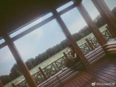 -荷塘月色湿地公园·向阳花洲