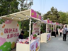 -太阳宫公园
