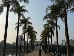-南宁南湖公园
