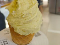 -野人先生现做冰淇淋(北京环宇荟店)