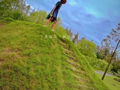 -前小桔亲子创意农场·草莓采摘·露营烧烤