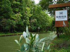 -同里国家湿地公园