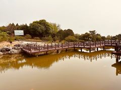 -北京西山国家森林公园