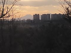 -绿堤公园