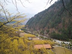 -黑河国家森林公园