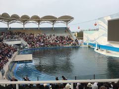 -北戴河圣蓝海洋公园