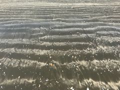 -台山黑沙湾海浴场