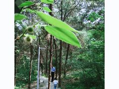 -云龙山