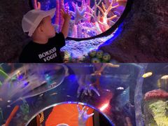 -沈阳海洋探索中心