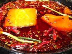 -蜀辣居鲜货老火锅(红牌楼店)