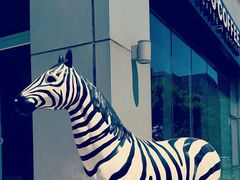 zebra&nbsp;guard-ZOO COFFEE 动物园咖啡(亦庄店)