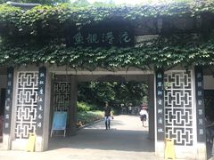 -西湖外事游船(花港观鱼码头)