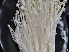 -莽子老火锅(大坪店)
