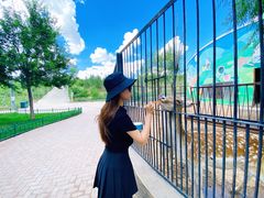 -鄂尔多斯野生动物园