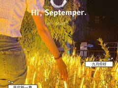 -维斯特·夜烤牛肋条任吃