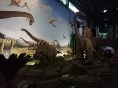 -中国西峡恐龙遗迹园