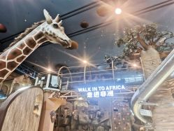 -卡通尼·Safari非洲探索乐园·生日会(金桥国际商业广场店)