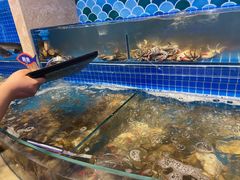 水产区-乔哥铭洋海鲜自助(皇城恒隆广场店)