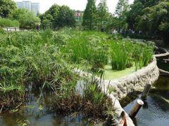 -成都市活水公园