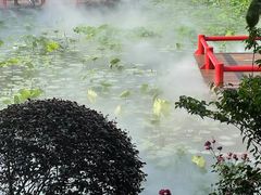 -鹅湖玫瑰文化园