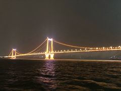 -武汉两江游览·夜游长江(汉口粤汉码头)