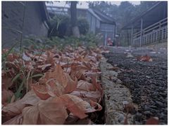 -T80科技文化国际社区-停车场